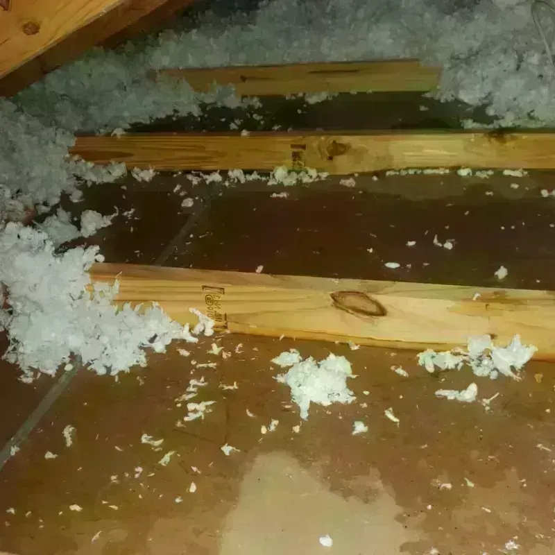 Attic Water Damage in Aldine, TX