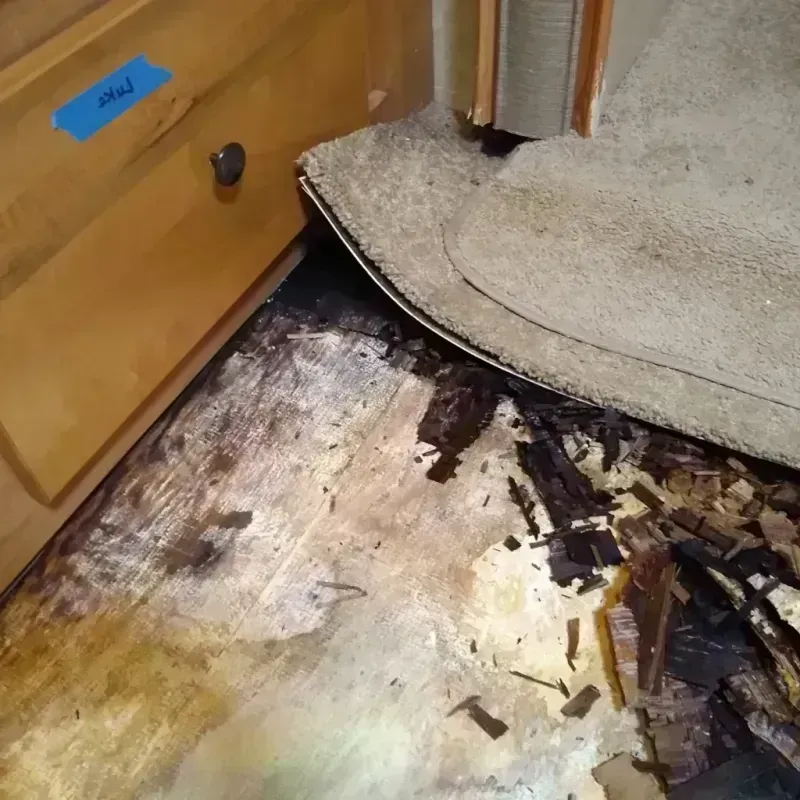 Best Wood Floor Water Damage Service in Aldine, TX